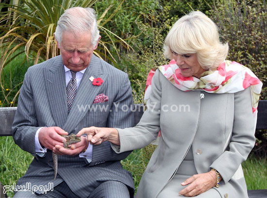 لعب الأمير تشارلز وزوجته مع السحلية فى مزرعة بجنوب نيوزيلندا -اليوم السابع -11 -2015