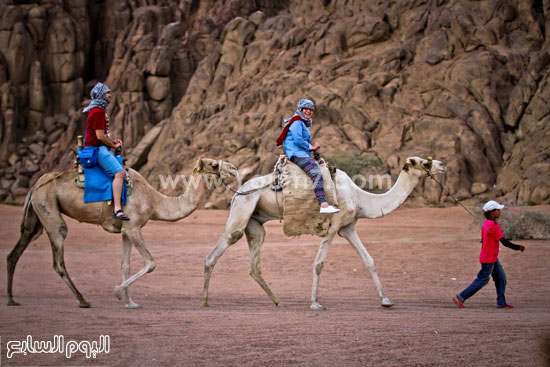  السياح الأجانب خلال احدى جولاتهم السياحية بمدينة شرم الشيخ  -اليوم السابع -11 -2015