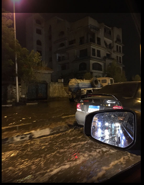 اليوم السابع -11 -2015