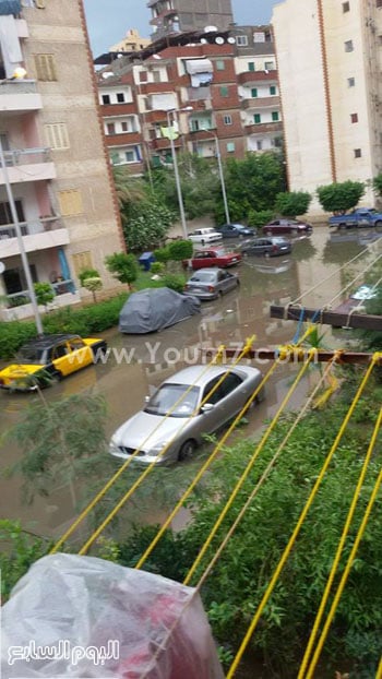 اليوم السابع -11 -2015