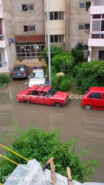 اليوم السابع -11 -2015