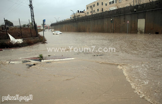 اليوم السابع -11 -2015