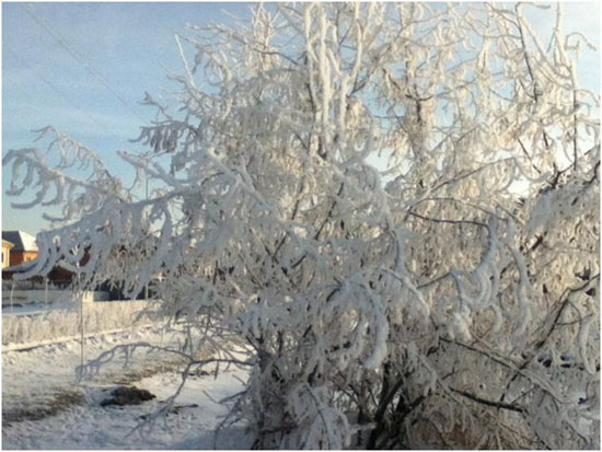 اليوم السابع -11 -2015