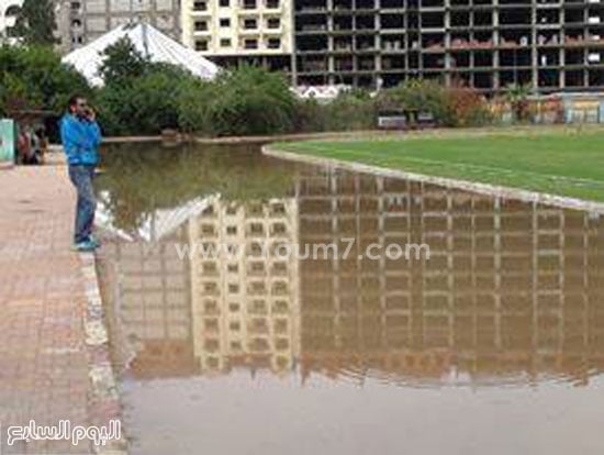 اليوم السابع -11 -2015