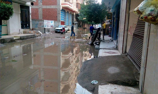 اليوم السابع -11 -2015