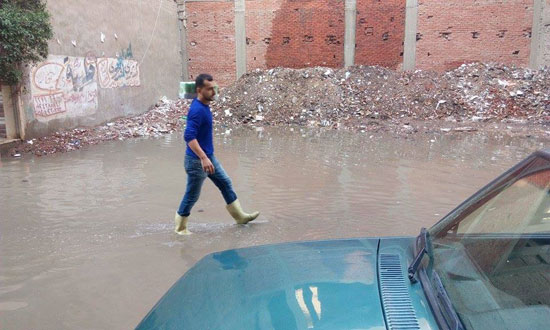 اليوم السابع -11 -2015