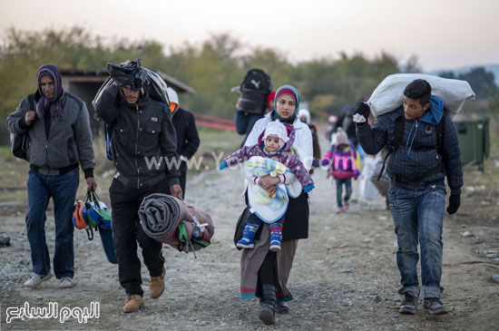 اليوم السابع -11 -2015