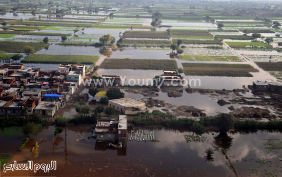 اليوم السابع -11 -2015