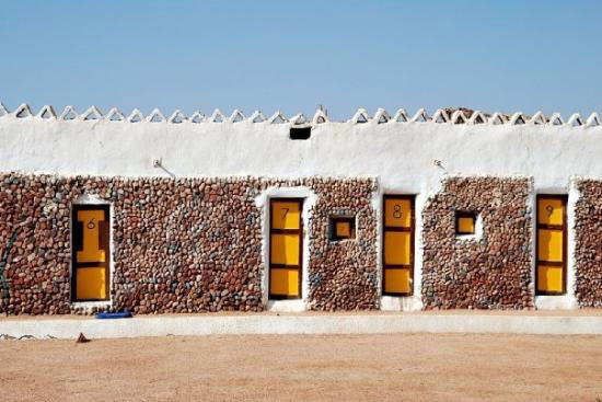 اليوم السابع -11 -2015