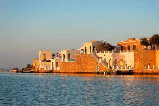 اليوم السابع -11 -2015