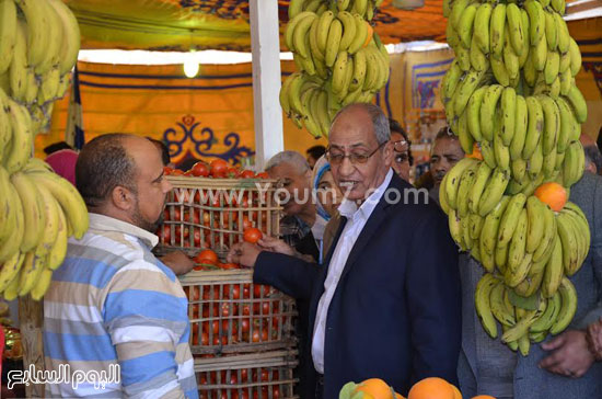 اليوم السابع -1 -2016