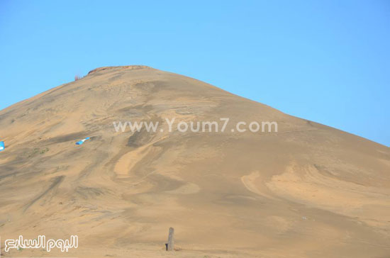 اليوم السابع -1 -2016