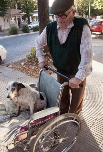 رجل متقدم بالعمر يساعد كلب غير قادر على التحرك  -اليوم السابع -1 -2016