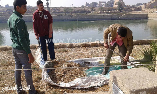 اليوم السابع -1 -2016