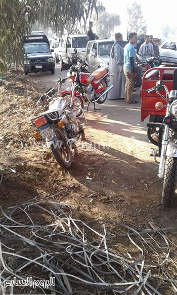 اليوم السابع -1 -2016