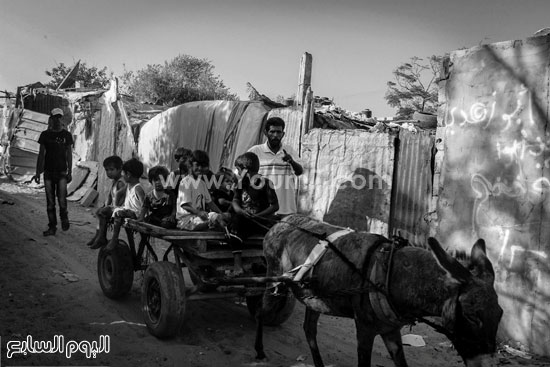 اليوم السابع -1 -2016