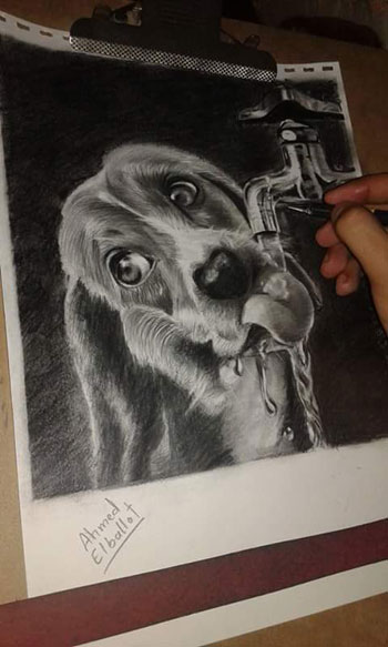 اليوم السابع -1 -2016