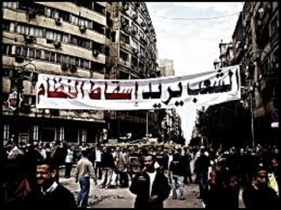 4- أحد الثور يرفع علم مصر مطالباً بحقوقه فى ميدان التحرير. -اليوم السابع -1 -2016