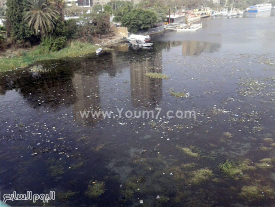 اليوم السابع -1 -2016