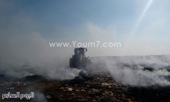 اليوم السابع -1 -2016