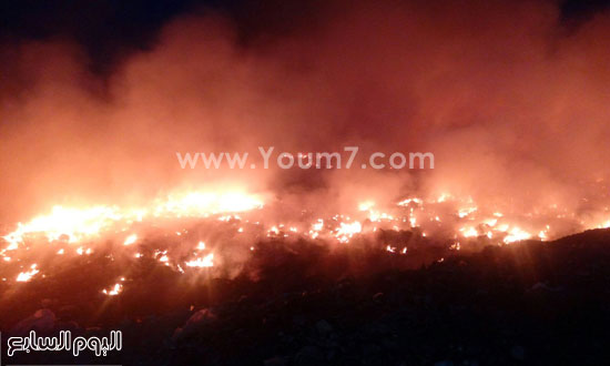 اليوم السابع -1 -2016