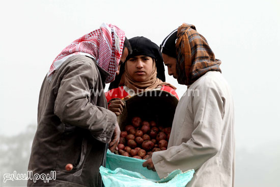 اليوم السابع -1 -2016