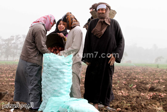 اليوم السابع -1 -2016