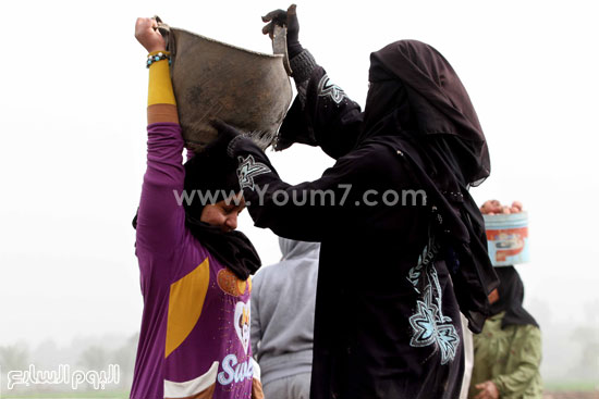 اليوم السابع -1 -2016