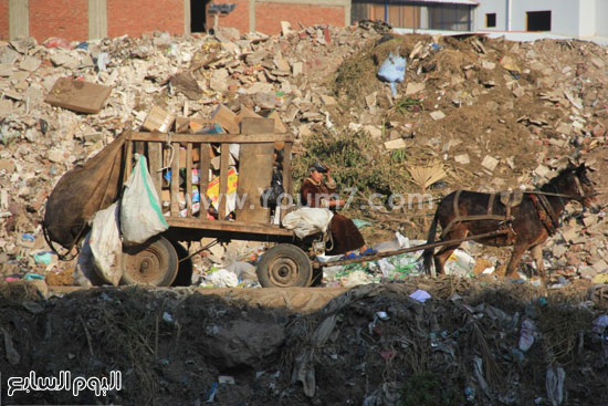 اليوم السابع -1 -2016