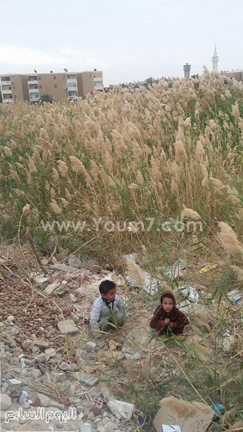 اليوم السابع -1 -2016