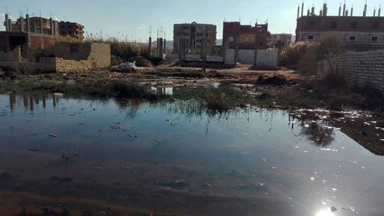  مياه الصرف الصحى تغرق منازل قرية فنارة بالإسماعيلية  (7)