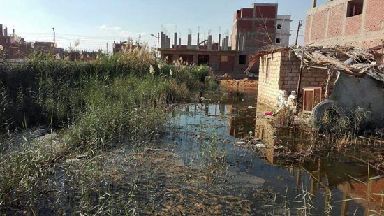  مياه الصرف الصحى تغرق منازل قرية فنارة بالإسماعيلية  (8)