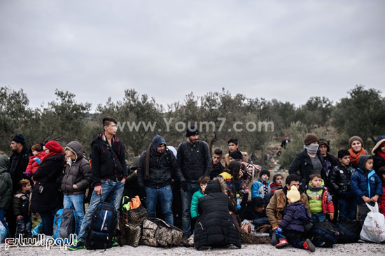 مهاجرين-(14)اللاجئين السوريين ، اوروبا ، الاتحاد الاوروبى ، ازمه اللاجئين ، اخبار العالم ، منظمة الهجرة الدولية 