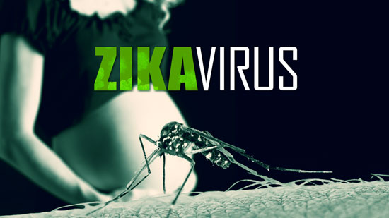 أثر فيروس زيكا على الأجنة (3)