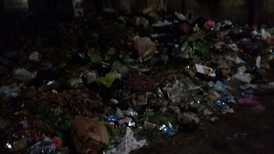 القمامة تحاصر الشوارع الرئيسية بكفر سرنجا (1)