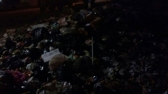 القمامة تحاصر الشوارع الرئيسية بكفر سرنجا (3)