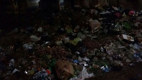 القمامة تحاصر الشوارع الرئيسية بكفر سرنجا (4)