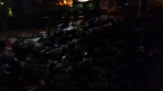 القمامة تحاصر الشوارع الرئيسية بكفر سرنجا (5)