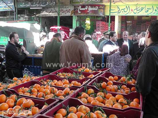 اليوم السابع -1 -2016