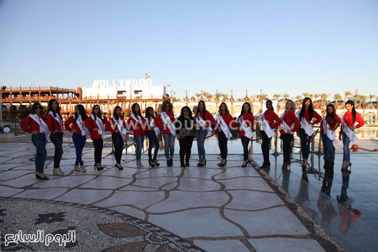 اليوم السابع -12 -2015