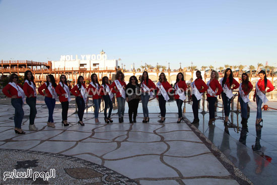 اليوم السابع -12 -2015