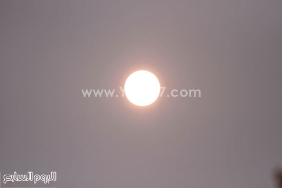 اليوم السابع -12 -2015