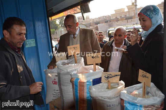 اليوم السابع -12 -2015