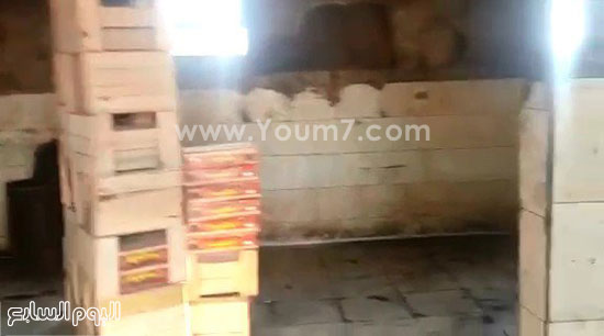 اليوم السابع -12 -2015