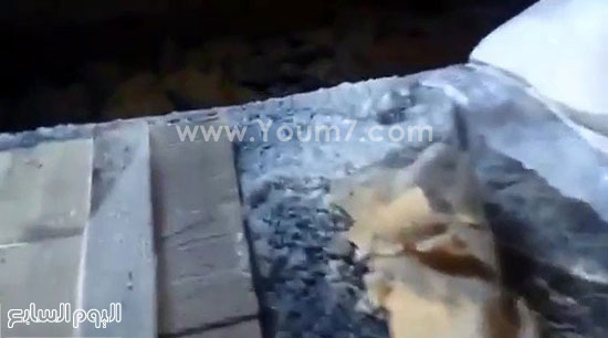 اليوم السابع -12 -2015