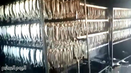 اليوم السابع -12 -2015