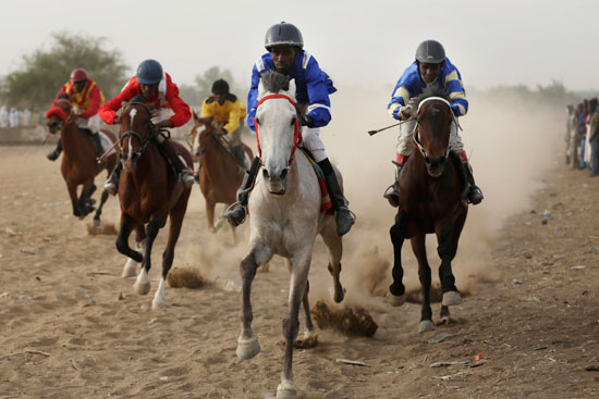 انطلاق سباق الخيول فى نجامينا - التشاد  -اليوم السابع -12 -2015