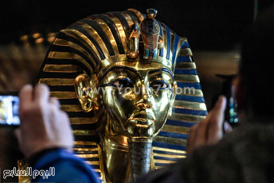 اليوم السابع -12 -2015