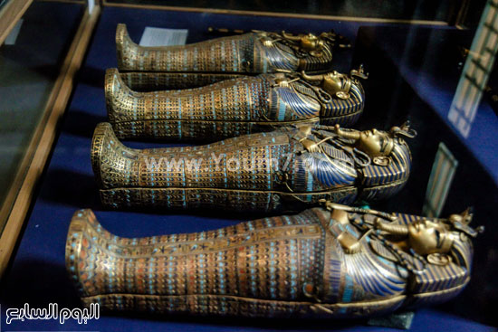 اليوم السابع -12 -2015