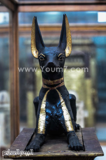 اليوم السابع -12 -2015